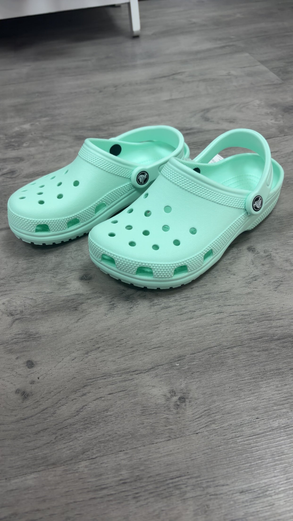 Mint clogs